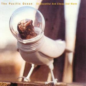 so-beautiful-and-cheap-and-warm